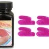 Noodlers Fountain Pen Ink Bottle - Eel Cactus Fruit